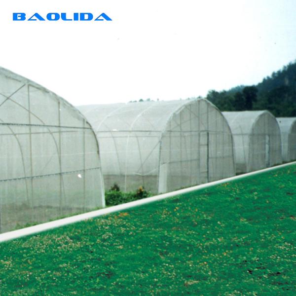 Quality Strong Tunnel Plastic Film Greenhouse Polyethylene Covering With Irrigation System for sale