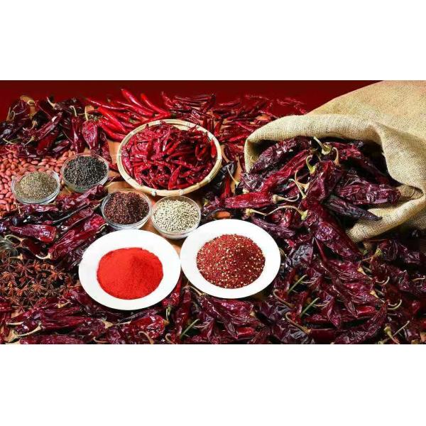 Quality 8% Moisture Dried Chilli Seeds A Grade F1 Hybrid Chilli Seeds for sale
