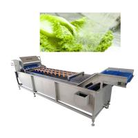 China Belt Type 2T/H Vegetable Fruit Washing Machine High Pressure Spray Washing Machine factory