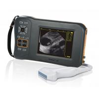 China Monochrome Display Veterinary Ultrasound Scanner L60 With 32 Digital Channels for sale