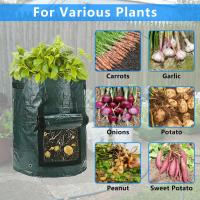 China 10 Gallon Potato Grow Bags, Planter Pouch Bags for Vegetables, Fruits and Flowers Flap Window, Garden Planting Bag factory