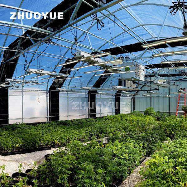 Quality Marijuana Commercial Light Deprivation Greenhouse Blackout Height 4m-7m for sale