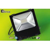 China 80 Watt IP66 outdoor Led Light flood For Billboard EMC3030 chip Isolated driver factory