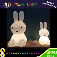 China Holiday Decoration Light LED Easter Bunny Rabbit Lamp for sale