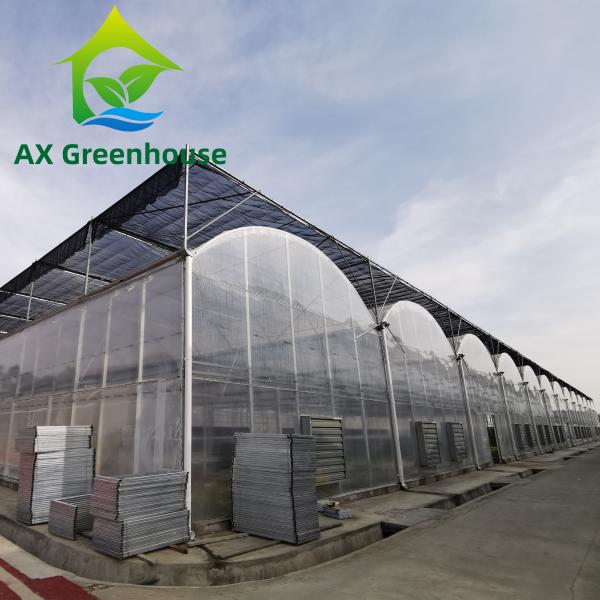 Quality ODM Transparent Polycarbonate Plastic Film Greenhouse Side Top Ventilation for sale