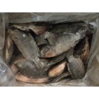 China Fresh Frozen tilapia gutted and scaled factory