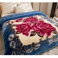 China 2-3KG Warm Soft Comfortable Korean Double Player Raschel Blanket with Warmth Function factory