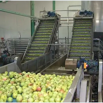 Quality Natural Flavor Mango Processing Line 63% Brix for sale