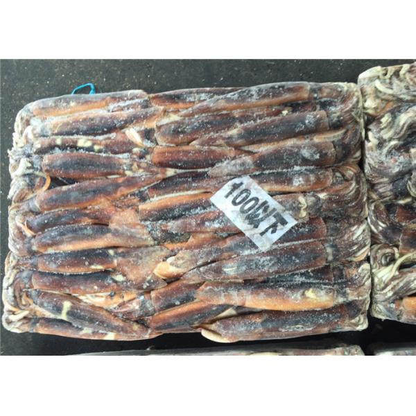 Quality 300g 400g BQF Whole Round A Grade Fresh Frozen Squid for sale