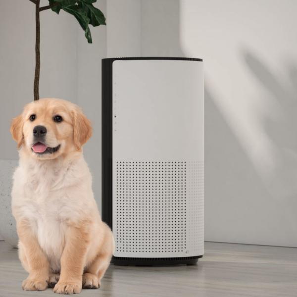 Quality Sleep Mode Pet Air Purifier Capture Pet Dander And Other Allergens 8 hours Timer for sale