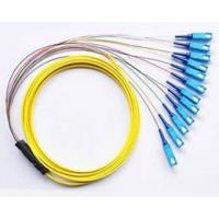 Quality 4, 6, 8, 12, 24, 48 Fibers Optional Ribbon multi-fiber Optic Pigtail for Telecommunication for sale