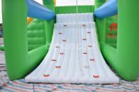 China Customized Inflatable Water Toys, Inflatable Action Tower Wirh Swing factory