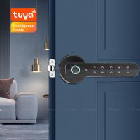 Quality Smart Biometric Password TTLock Digital Door Lock Aluminium Semi Auto Handle for sale