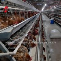 Quality 96 120 128 160 Birds Layer Battery Cage System At Igando Lagos Office Sandy for sale