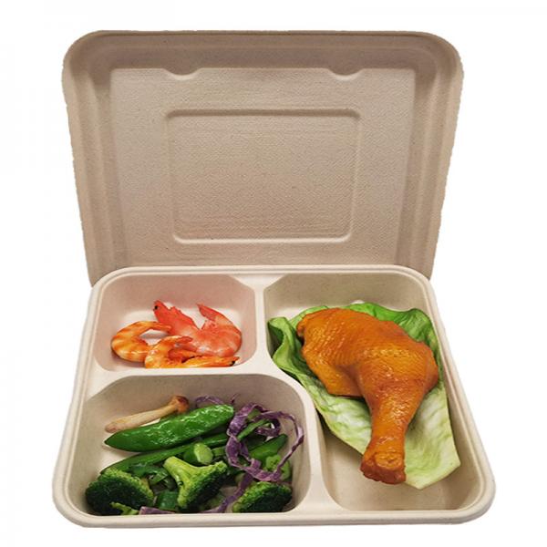 Quality Sugarcane Bagasse 3-4 Compartment Food Container Biodegradable With Lid for sale