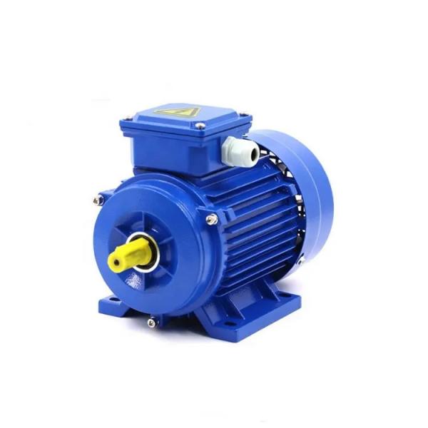 Quality Industrial Asynchronous Motor Electric 60kw 3 Phase 20hp IP55 for sale