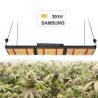 China 320 Watt  Commercial LED Grow Lights Quantum Board Style SAMSUNG 301H factory
