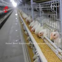 Quality 96 Birds / 128 Birds Broiler Cage System A Type Or H Type In African Market Iris for sale