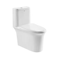 China ARROW Bathroom Ceramic One Piece Western Toilet Siphonic Flushing factory