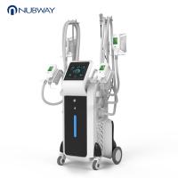 China 2019 New technology bearty equipment 3 cryo handles lipo cryotherapy factory