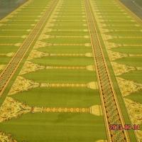 China Mosque carpet, Prayer Carpet, Muslim Carpet factory