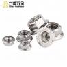 China Stainless Steel 304  Torque Type Lock Nuts , Hex Flange Nuts M4-M12 factory
