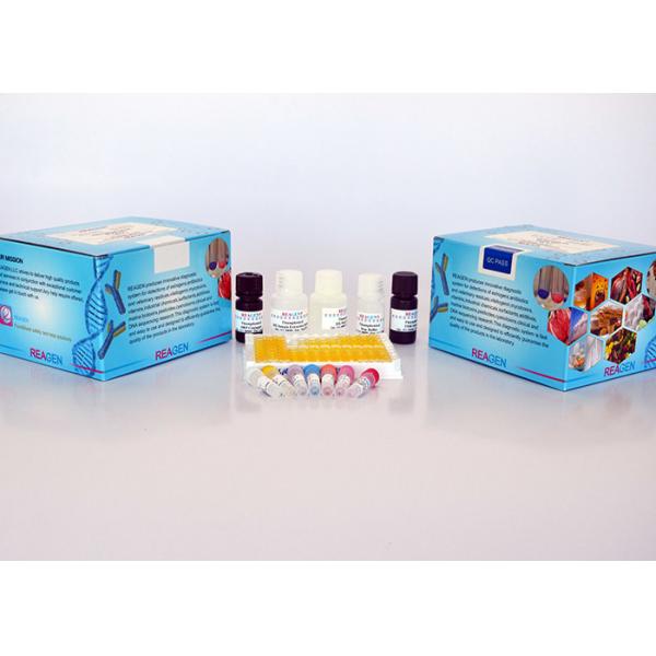 Quality High Recovery Vitamin B9 Test Kit  For Food Feed Total Folic Acid Detection for sale