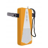 China Portable USB FM Radio Receiver Flashlight Pocket TF Player Radio With Speaker factory