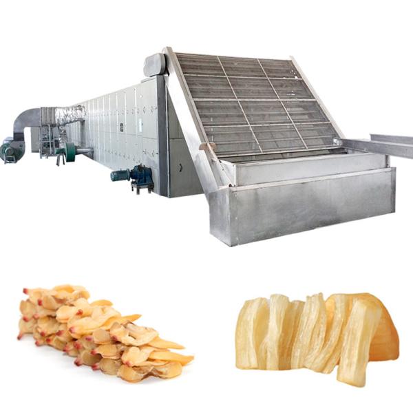 Quality Multifunctional Mesh Belt Dryer Machine Stainless Steel Delicate Treatment Fruit for sale