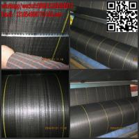 China High Quality woven Black Plastic PP Weed Matting in Garden/new agricultural technology for sale