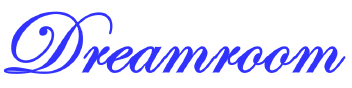 China Dreamroom Display Co.,Limited logo