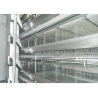 China Chicken Egg Livestock Farming Equipment Farmer Automatic Poultry Equipment factory