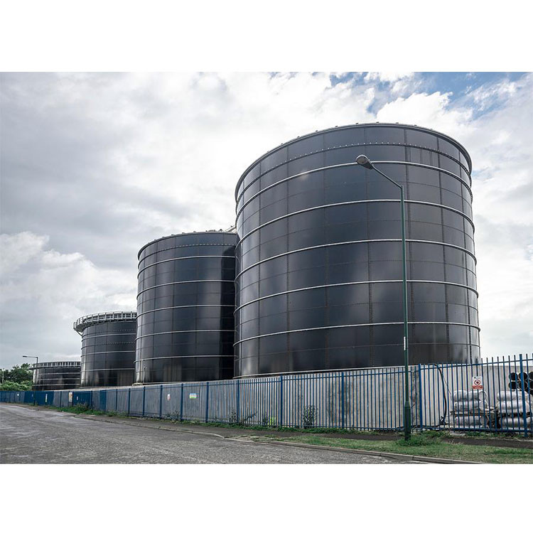 China Industrial Anaerobic Digestion Equipment With Smooth And Polish Surface factory