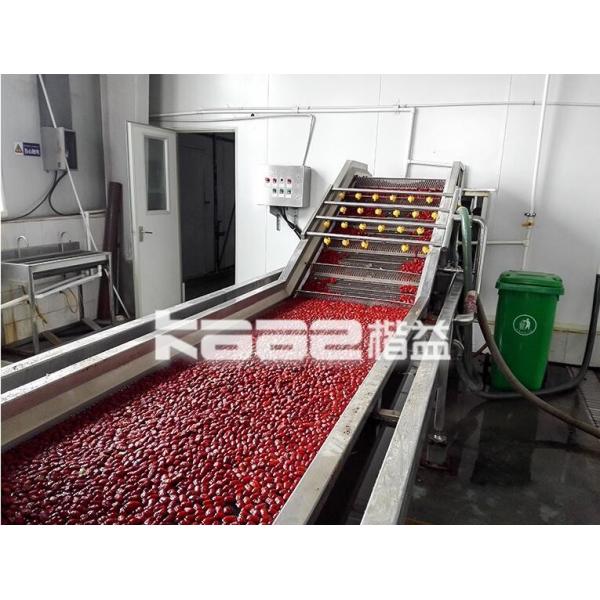 Quality SUS304 Dates Processing Machine Jujube Juice Production Line For Jujube Syrup for sale