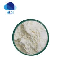 China CAS 37312-62-2 Serrapeptase / Serratiopeptidase Powder High Activity factory
