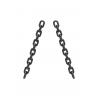 Quality SLRG80-ALLOY STEEL FORGED LIFTING CRANE CHAIN for sale