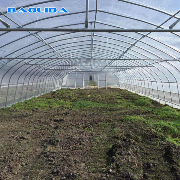 Quality Tunnel Plastic Film Greenhouse / Vegetable Greenhouse Climate Control Economical for sale