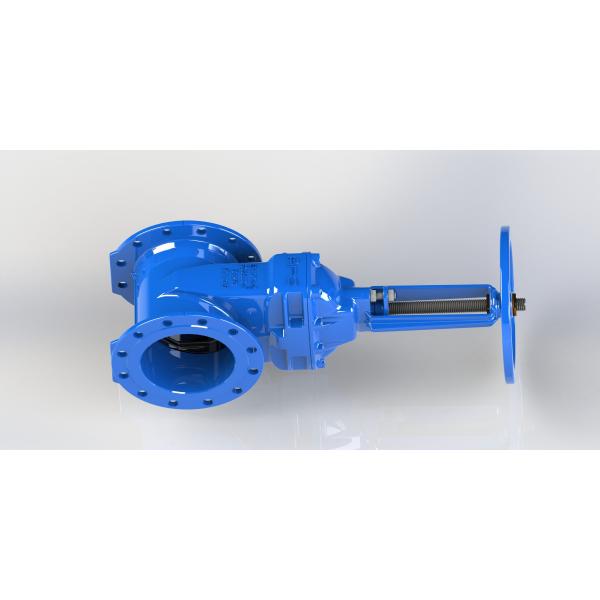 Quality Hand Wheel Or Top Cap Operated Water Gate Valve Red / Blue Epoxy Coated for sale