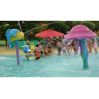 China Fiberglass Fish Spray Park Water Equipment For Children / Kids Amusement Water Park factory
