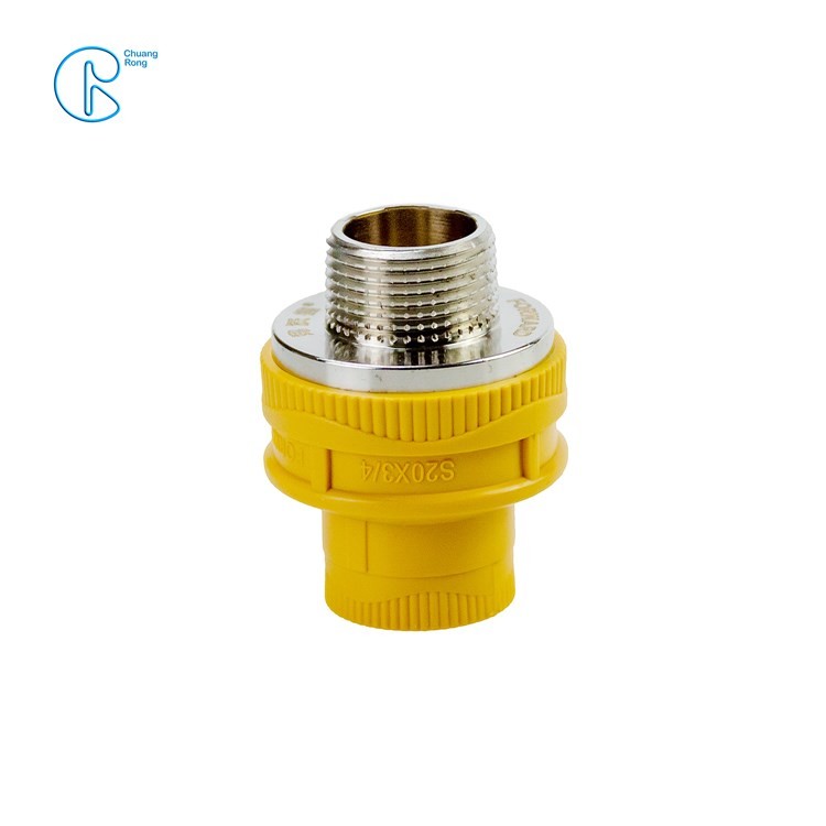 China Casting Tech PPR End Cap With 1/2 Inch To 63 Inch Size factory
