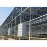 China Hot Dip Galvanized Steel Greenhouse Venlo Type For Farming Planting factory