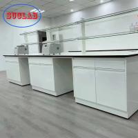 China High Quality Full Steel Epoxy Resin Worktop Acid and Alkali Resistance Chemical Laboratory Bench For Sale factory