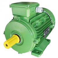 Quality Squirrel Cage 3 Phase 4 Pole Induction Ac Motor 0.75kw For Woodworking Machinery for sale