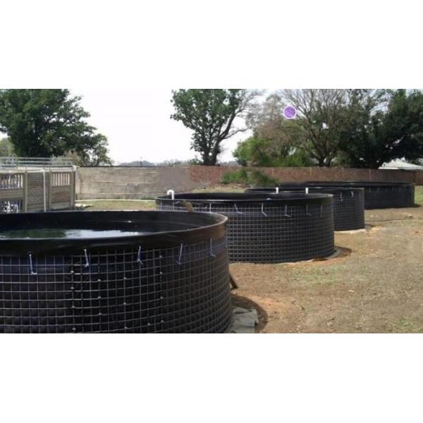 Quality 20000L PVC Fish Farming Tank with Lid, Flexible Tarpaulin Wire Mesh Tank For for sale