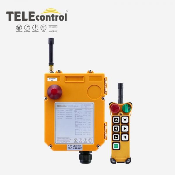Quality F24-6S Industrial Radio Remote Control System Telecontrol 3 Axis Remote Hoist Crane for sale