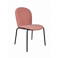 Quality Sturdy Metal Frame Dining Room Chairs Customize Modern Dining Chairs for sale