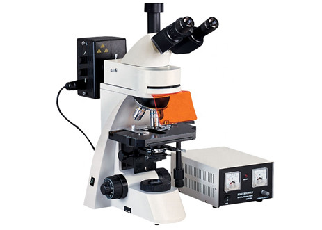 Quality Trinocular Led Fluorescence Microscope 1000X Kohler Illumination UV Light Microscope for sale