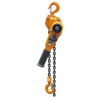 China 1.5 Ton Hand Chain Hoist , Electric Chain Hoists Easy To Use Optional Color factory
