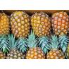 China Block Pineapple Flavor 10mm Natural Agricultural Products factory