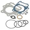 China metal and graphite material gaskets/full gasket set with high sales factory